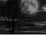 [ Rising Shadows ]