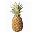 Very Tasty Pineapple