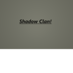 PS_Cannons group!