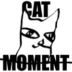 CatMoment