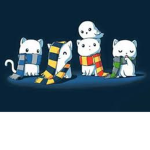 HP kittens
