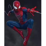 The Real Spider-Man Group