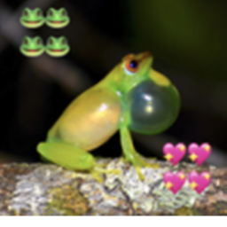 Frog's Garden of Chill