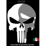 Grupo Anfibio de Operaciones Especiales