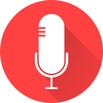voice chat thing