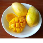 MangoDinosaur