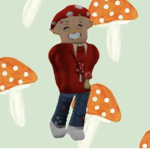 BloxyBoy Community
