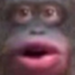 sydala far3 roblox
