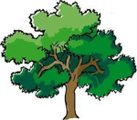 BrokeTree Fan Club