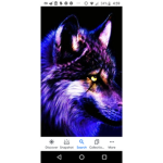 Ultima Phoenix wolf UWU