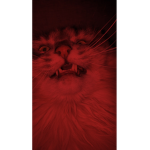 Kqdnaboadishz