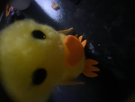 ploompp