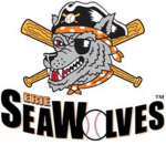 Erie SeaWolfs (Ro-MLB Minor League)