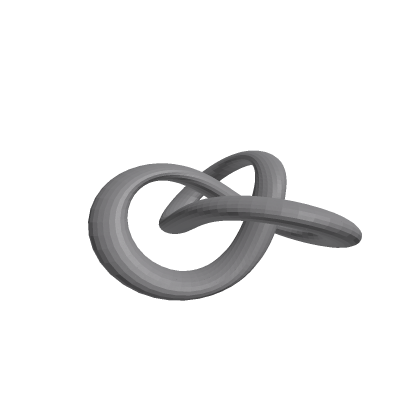 The Torus Knot