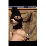 Phantomalfie