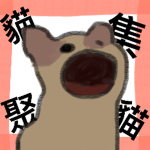 貓貓集合會