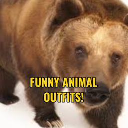 Funny Animal Outfits!