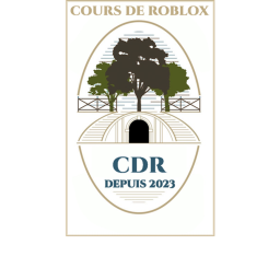 Cours de roblox