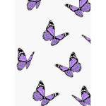 butterfly friend group)