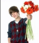 !!.Pom.Pom.!!