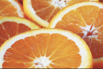 Orange Legacy