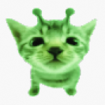 SIlly CatClub