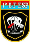 _BFE_ BATALHÃO DE FORÇAS ESPECIAIS