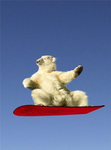 polar bowler