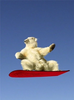 polar bowler Roblox group icon