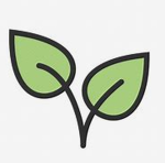 5 Leaf Studios
