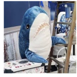 shark family)