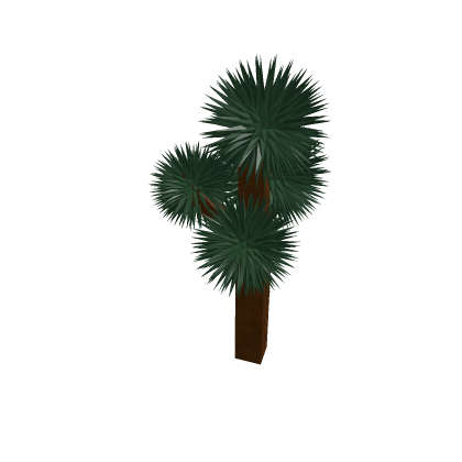 Joshua tree
