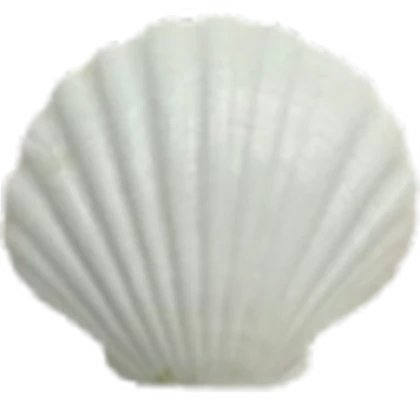 cinnalita Roblox group icon