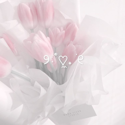 ♡🌷♡