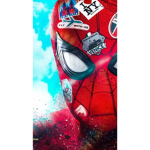 Spider Famliy Group