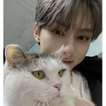 Darl+ing