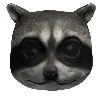 Raccoon