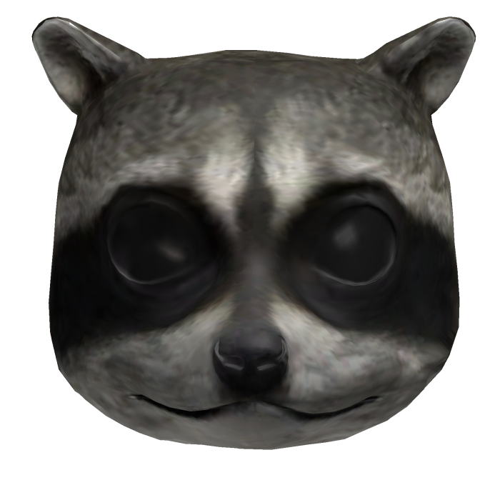 Raccoon