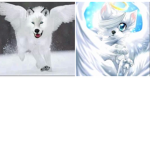 Angel wolf’s