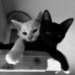 Chill with us <3