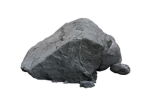 pechenochi