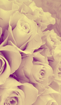 Itzz.4.you