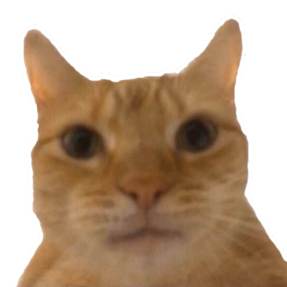 scary man cat head Roblox decal