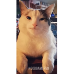 Hshahehehehehehehehehehehhrhehegegehegegehge