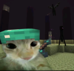 Kittenique