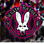 White - Rabbit