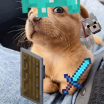The BedWars Nebula Group