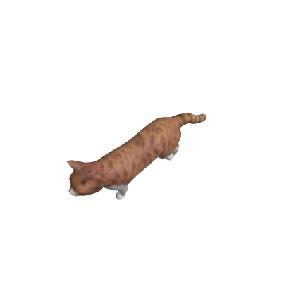 GATO CARRO XD