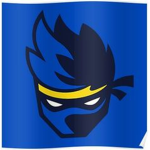 Ninja's Town