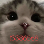 Vibe_cat
